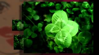 LIZA MINNELLI i'm looking over a four leaf clover