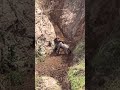 Great Spot For An Ambush Natureismetal Keepnaturemetal Leopard Wildebeest