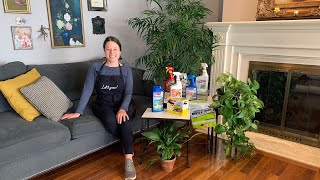 Let's Grow: When to Visit the Garden Pharmacy ENGLISH GARDENS