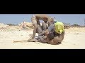 Tukaze Roho - Lava Lava (Official Video) Sms SKIZA 8544996 to 811 Tukaze Roho - Lava Lava (Official Video) Sms SKIZA 8544996 to 811