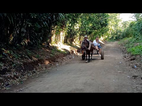 Inauguran mejoramiento del camino productivo en San Marcos, Carazo ¡mejores caminos, más producción!