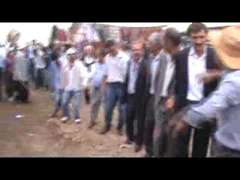 Video 15