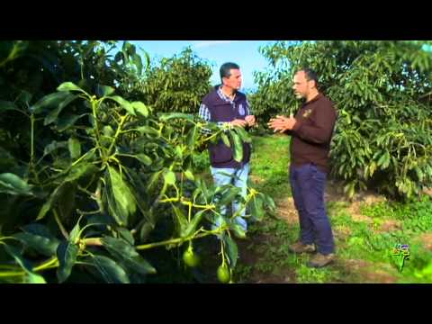 14/02/15 Con lo nuestro