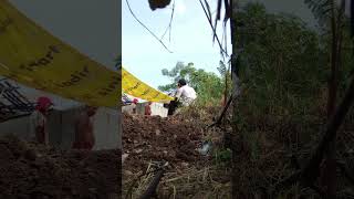 Download lagu IWAN FALS - ENTAH #shortvideo #laguviral #laguhits #musikindonesia #storywa #oi #falsmania #3001 mp3