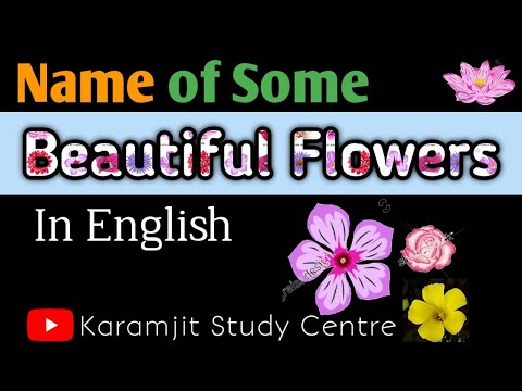 Flower's Name In English | The World Of Flower's Name | Fulo ke Naam | #karamjitstudycentre