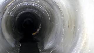 74_【現場映像】管口カメラ・ファーストビュー管内映像（HPφ400㎜）