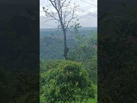 Panorámica del municipio de Villavarzón, Putumayo