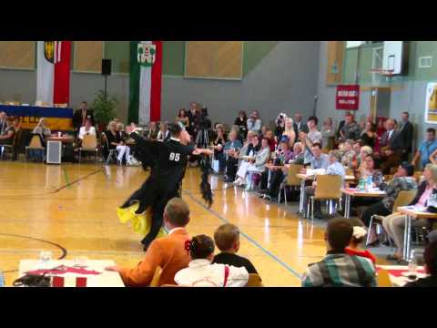 Markus Hackl & Stefanie Krausz - Quickstep - Kombi-Staatsmeisterschaft 2011