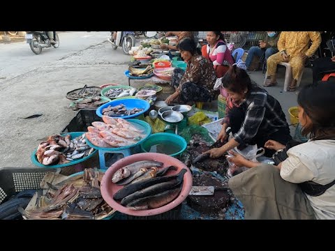 Cambodian Routine foods @ The Market   Raw Meat, Fishes, Desserts, Vegetables, &More