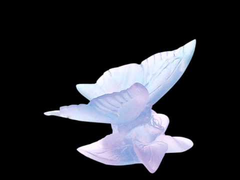 A Water Butterfly - Melody of Oblivion