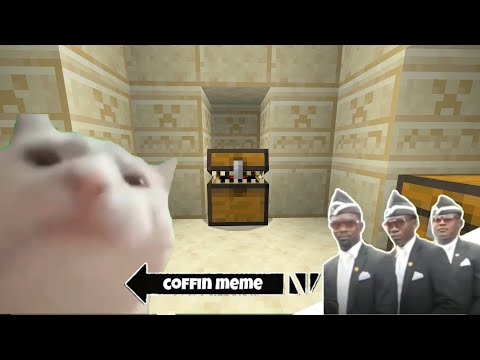 Best of Cat Vibing Coffin Meme - Minecraft