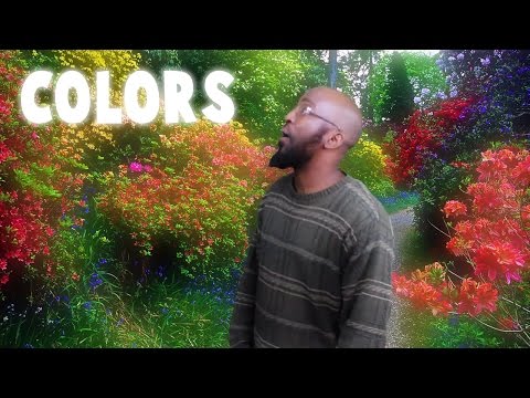 Mr. Omar's Classroom - "The Colors Song"