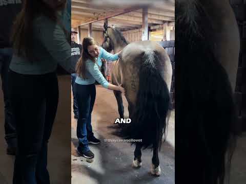 She Used a Very Unknown Technique 🧐