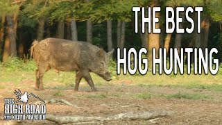 Best Wild Boar Hunting in Texas