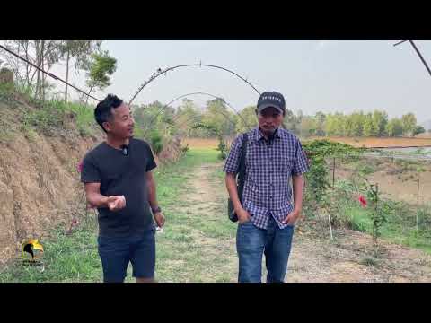 Sang Valte Japan return