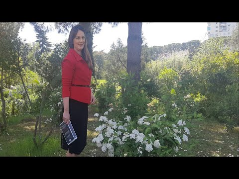 Vitrina e librit/ Tre tituj me autorë shqiptarë dhe të huaj i gjeni më poshtë si propozime tonat