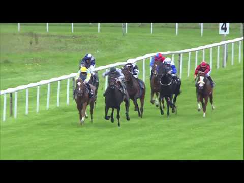 Galopprennbahn Dresden - 28.09.2019 - 1.Rennen