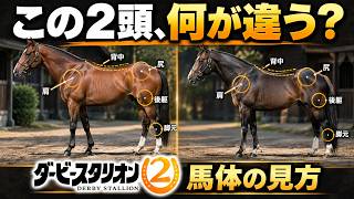 ダビスタ2の馬体診断がシミュレーターすぎる｜一口馬主をやる人は全員買いだと思う理由