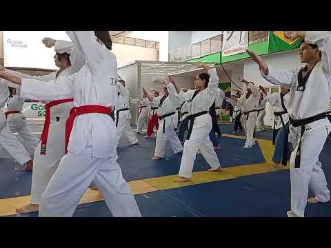 Taekwondo indiara-goias, seminário de poomsae 2026 da liga nacional e FECOT. 