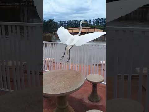 Pesqueiro Santa Rita em Sales Oliveira