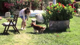 Candan Erçetin - Hafif