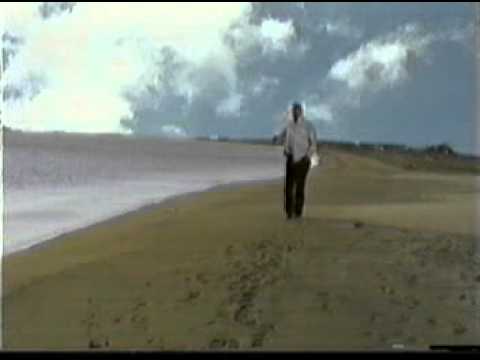 Las razones del amor - los diablitos