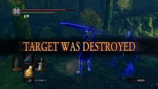 DARK SOULS REMASTERED: PvP @ 2018 Aug-Sep