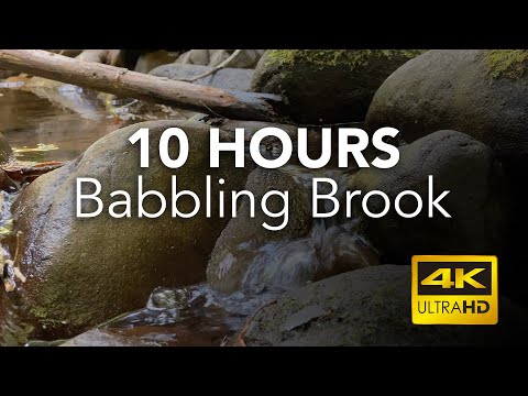 10 Hours of Babbling Brook in 4K - No Ads