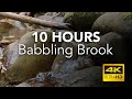10 Hours of Babbling Brook in 4K - No Ads