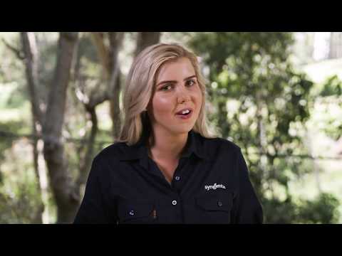 Talking Pest Control: Introducing Aimee