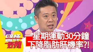 一星期運動30分鐘，下降脂肪肝機率？！【醫師好辣】20200224 part1 EP898 蕭敦仁 李祖寧