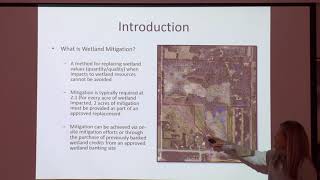 Developing Wetland Mitigation Credits Through Restoration of Exceptional Natural Resources