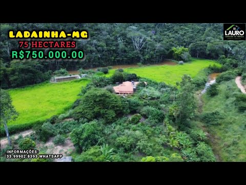 ✨️VENDE FAZENDA 15 ALQUEIRES REGIÃO POTE-MG VÍDEO ATUALIZADO COM DRONE✨️