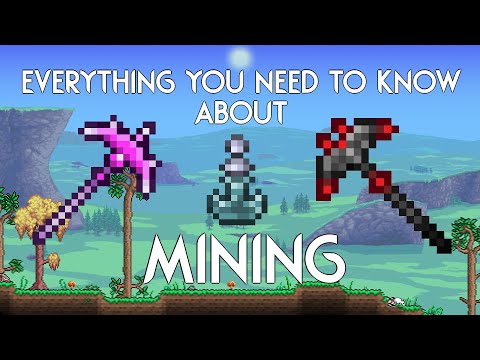 The Comprehensive Guide to Mining