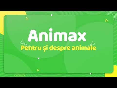 Am deschis Animax București Dorobanți