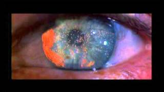 Iron savior - Megatropolis (Blade Runner)