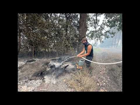 Incendie en Gironde : un père et son fils mobilisés au Porge contre les reprises de feu
