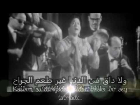 Ümmü Gülsüm • Inta Omri | انت عمري - أم كلثوم • Türkçe Çeviri