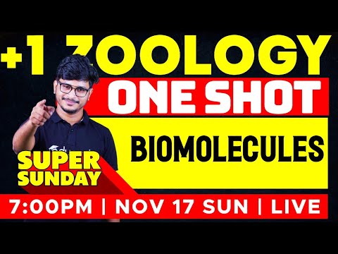 Plus One Zoology | 9. Biomolecules - One Shot | Eduport