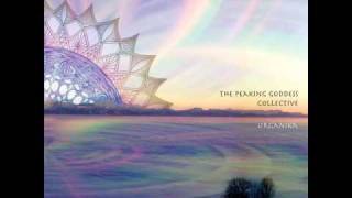 The Peaking Goddess Collective feat. Tanina Munchkina - Organika - (8) Arcana (Live Jam)