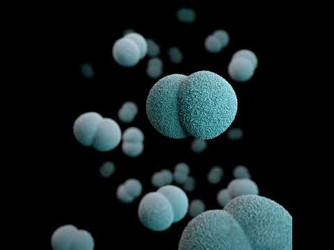 Ep 09 - Fighting little bugs who are starting to fight back