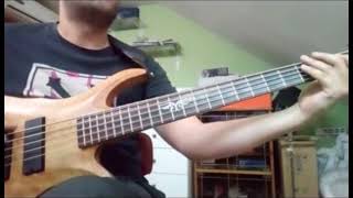 john liolios cover Allan Holdsworth "In the Mystery"