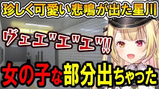 【まとめ】珍しく可愛い悲鳴が出る星川サラ【星川サラ/にじさんじ/切り抜き/8番出口】