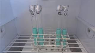 Microbiologia de alimentos: qualidade do leite