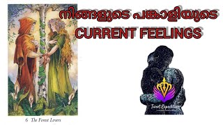 നിങ്ങളുടെ പങ്കാളിയുടെ CURRENT FEELINGS അറിയാം 😉#tarotcardreading#malayalam #truelove #malayalam