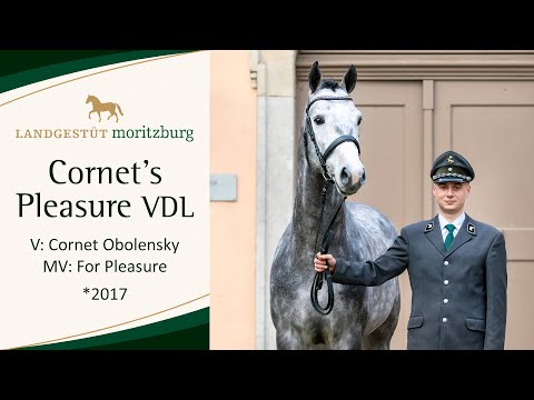 CORNET'S PLEASURE VDL v. Cornet Obolensky - For Pleasure