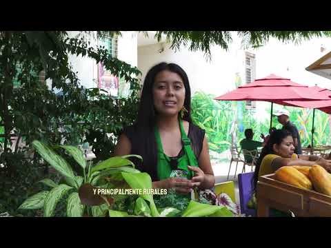 Manuela Ricaurte Romero - Jardinera y emprendedora de La Tebaida Quindío 