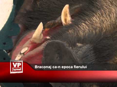 Braconaj ca-n epoca fierului