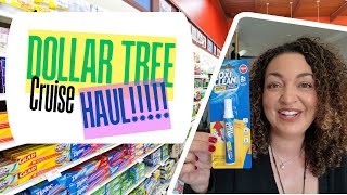 12 AMAZING DOLLAR TREE CRUISE HAUL FINDS!!!