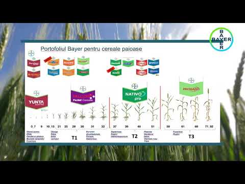 Bayer Agro Arena - Insuratei 2018 - reportaj